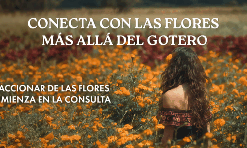 Conecta con la energía de las flores más allá del gotero